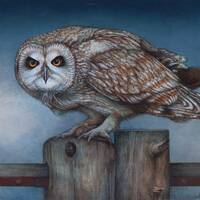 fine art, original, birds, raptors, owl, wildlife, animals, nature, realism, painting, hunting. outd