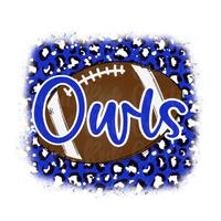 Owls Football PNG | Cheetah Print Background | Digital File | Sublimation Download
