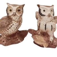 Vintage Pair of Homco Ceramic Owls, Owl Figurines Cottage Forest Fairy Goblincore