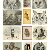 Vintage Owl Images: Printable Digital Collage Kit (Digital Download)