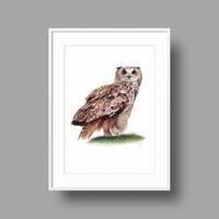 Eurasian Eagle-owl original artwork. Ballpoint pen drawing on white recycled paper. Realistic bird p