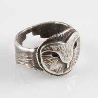 Barn Owl Band