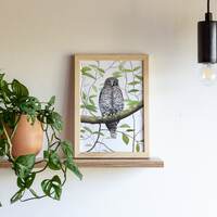 Powerful Owl Giclée Print: Australian Native Bird Art