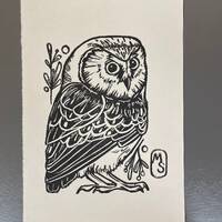 Saw whet owl print on paper, saw whet owl, owl print, owl decor, relief printed owl, relief owl, saw