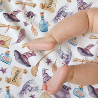Personalized Wizard School Minky Baby Blanket: Magic Owl Bedding