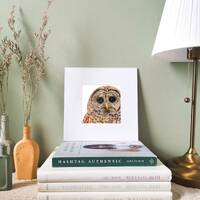 Tawny Owl Art Print | Tawny Owl Print | Owl Gift | Mounted Print | Bird Print | Wildlife Print | Gif