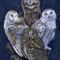 Totem Owls Painting Print - Wall art, bird stack, Barn Owl, Barred Owl, Snowy Owl, Eagle Owl, Owl Ar