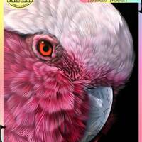 Rose breasted Cockatoo Bird Parrot Colorful Owl- Chart Counted Cross Stitch Pattern craft PDF