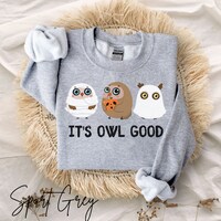 Owl Halloween Sweatshirt, Cute Owl Fall Sweater, Owl Ghost Shirt, Owl Lover Gifts, Fall Shirt, Owl B