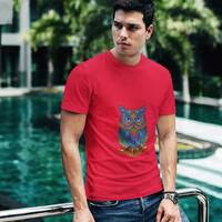 Owl Graphic Bella Canvas Short Sleeve Cotton T-Shirt, Cute Owl Unisex T shirt