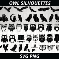 Owl Svg, Owl Clipart, Cute Owl Svg, Owl Png, Bird Svg, Owl Silhouette, Owl Printable, Svg Files for 