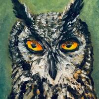 Original Oil Painting Goofy Owl Face, Close up Portrait, Woodland Animals Artwork, Forest Creature B