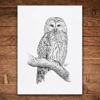 Owl, Pen and Ink Print, Nature Art, Black and White Vintage, Wall Art, Bird