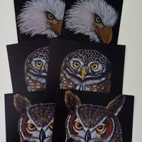 Raptor Art Print Postcard Set, Bald Eagle, Owl (A2)
