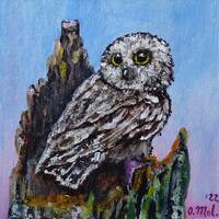 Owl Painting Animal Original Art Sunrise Wall Art Bird Portrait Wildlife Artwork Acrylic Painting 6&