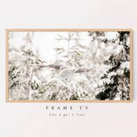 Samsung Frame TV Art, Snowy Owl in flight, Samsung Art TV, Bird, Owl, Digital Download for Samsung F