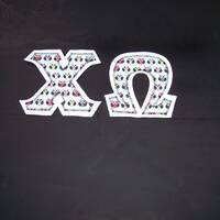Chi Omega Shirt -- Owls on White Twill