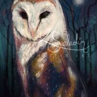 Moonlight Barn Owl