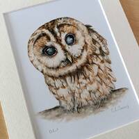 Tawny Owl Watercolour Print &ndash; British Wildlife Art (8x10)