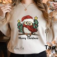 Christmas Sweatshirt, Cute Owl Santa Hat Christmas Sweatshirt, Christmas Gift Sweater, Christmas Cre