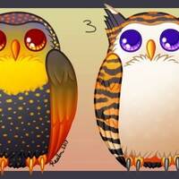 Autumn/Halloween Owl Adopts