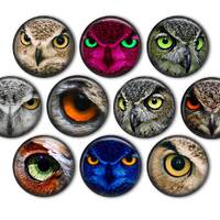 Owl Eyes Pin Back Buttons, Backpack Pins, Jacket Buttons, Flat Back Button, Party Decor, Owl Party F