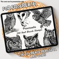100 Owl Brush Stamps | Procreate Owl Brush Stamps | Owl Procreate Stamps | Procreate Owl Stamps | Pr
