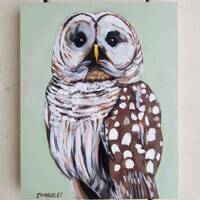 Barred Owl, Original Owl Painting, Small Bird Art, Owl Lover Gift, Bird Gift for Mom, Birthday Gift 