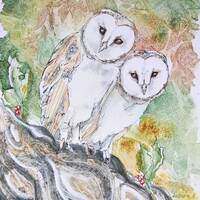 An original barn owl painting in watercolour and pen, an original fine art painting of British wildl