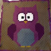 Hooty the Owl really cute bright colors One-of-a-Kind Hand crochet Heavy throw or wall hanging 33&qu