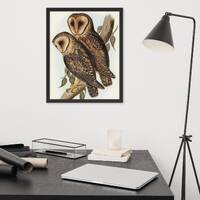 Masked Barn Owl (c.1830's) Reproduction Framed Poster by Elizabeth Gould. From Birds of Australi