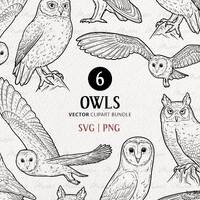 6 Owl SVG Bundle. Owl Clipart Line Drawings. Barn Owl, Horned Owl Tattoo Art. Owl Bird Outline Art.