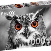 1000 Pieces Jigsaw Puzzle - Curious Owl