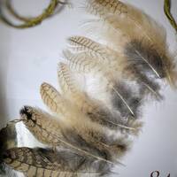 Molted Natural feathers of live Eagle owl, feathers for crafting,for hat for dream catcher