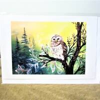 Metis Cree First Nation ''Wise Owl'' Eastern Woodlands Great Plains Native Indigenou