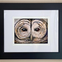 Framed Owl print, Owl eyes, bird print, fine art print, 11x14 matted and framed print, limited-editi