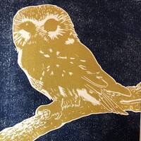 Northern Saw-whet Owl Linocut Print: 2-Color Limited Edition (8x8 in)
