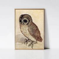 Little Owl, Albrecht Durer | Antique Bird Painting | Renaissance Animal Watercolor Print | Printable