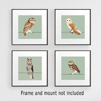 Modern Woodland Owl Art Prints: Set of 4 Bird Illustrations for Wall Decor, Nature Lover Gift