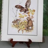 1967 Large James Lockhart Owl & Rabbits Bookplate 17 5/8 Inches X 14 7/8 Inches Vintage Matted L