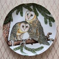 Vintage 1970's Goebel "Schleiereule Barn Owl (Tyto Alba)" Porcelain Plate