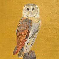 Barn Owl - Original Acrylic Painting