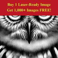 Owl Face Image Laser Ready Burn File | Detailed Close-Up Owl Portrait Digital Download | 3D Illusion