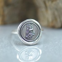 Sterling silver Owl ring.Insect Ring. Cicada ring Mystery magic jewelry.Artisan handmade ring.Hallow