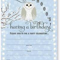 Snowy Owl Birthday Party Invitations - Blue - 10 Invitations 10 Envelopes