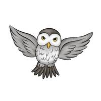 Owl Clipart, Owl PNG, Digital Download