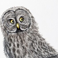 Great Grey Owl Original Art | British Bird Watercolour Painting