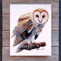 Barn Owl Acrylic Embellished Print, 8x10&rdquo; Owl Artwork