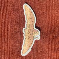 barn owl sticker