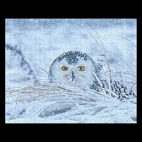 Snowy Owl Jigsaw &ndash; Fun for Nature Lovers
